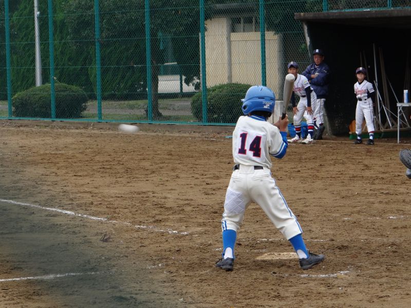 resize_DSC02323.jpg