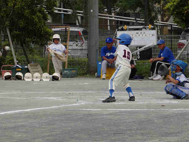 resize_DSC00449.jpg