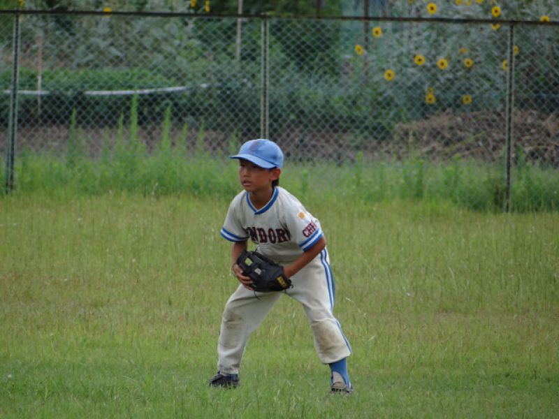 resize_DSC01098.jpg